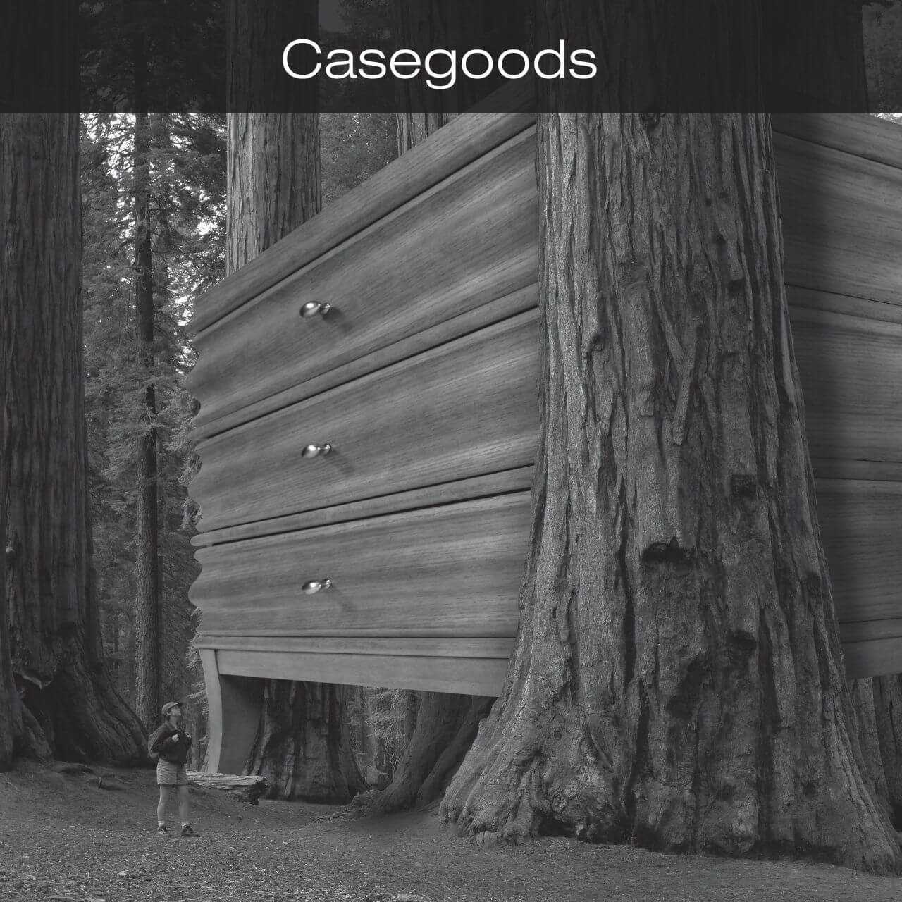 Casegoods